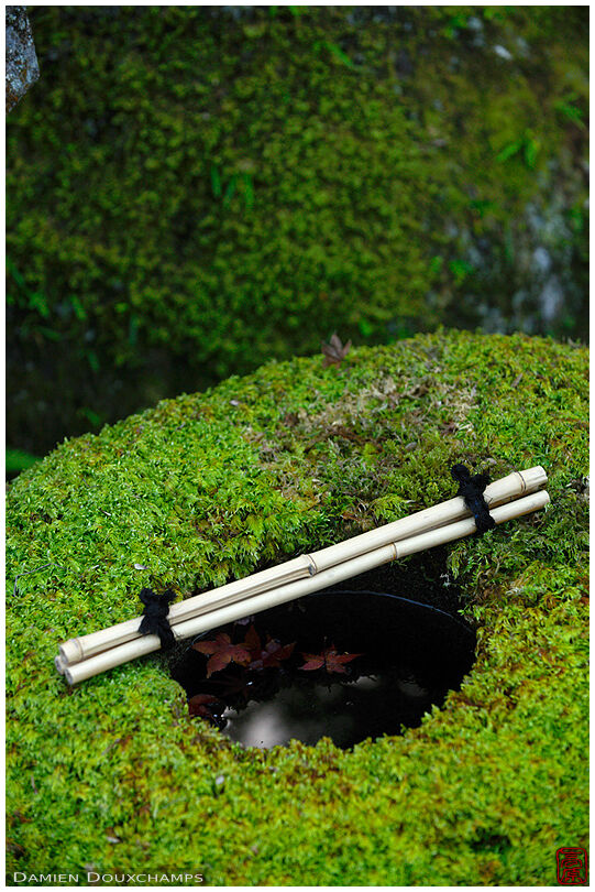 Small moss-covered water basin in Isui-en gardens