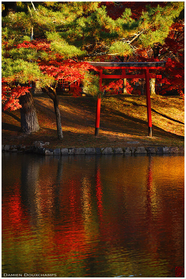 Red torii at dusk, Todai-ji temple