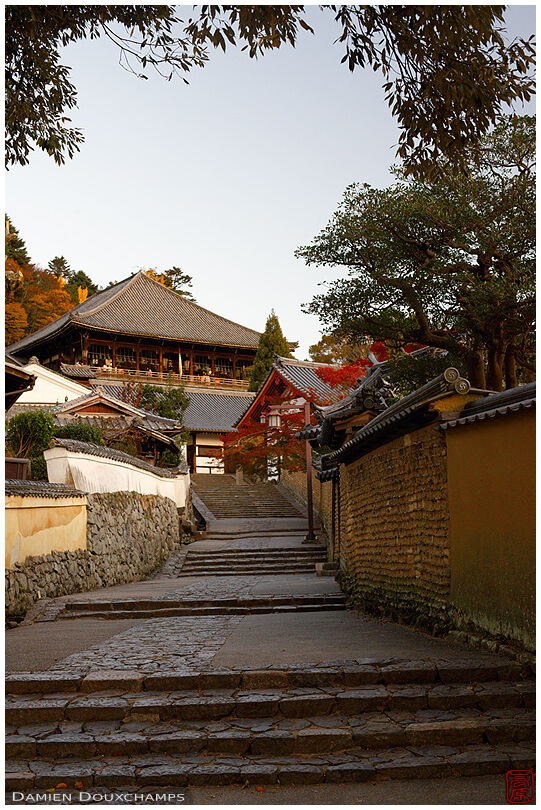 Old street leading to Nigatsu-do temple