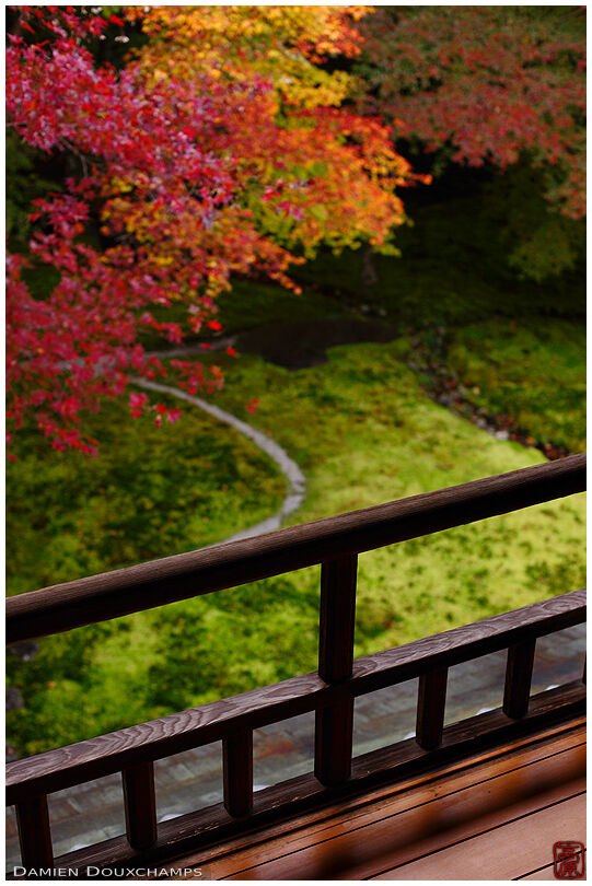 Balcony on moss garden in autumn, Ruriko-in temple