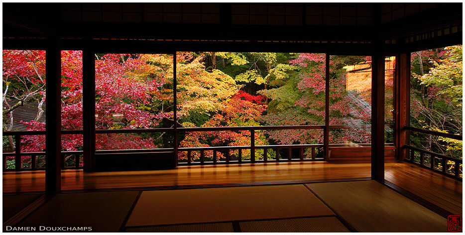 Ruriko-in temple in autumn