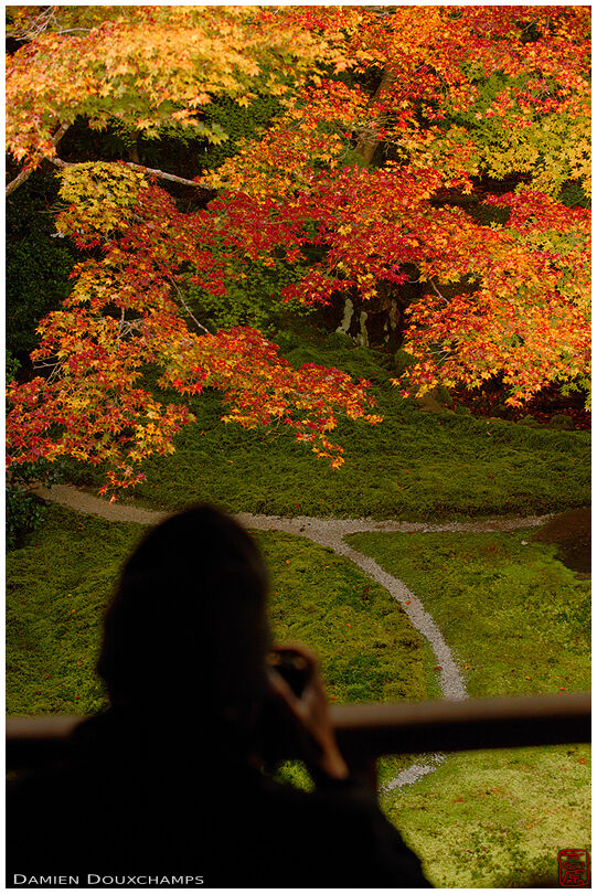 Photographying autumn colours in Ruriko-in temple