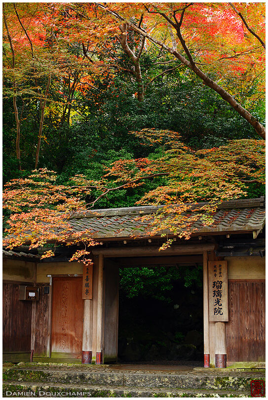 Ruriko-in temple entrance