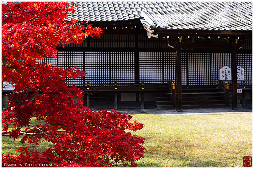 Temple hall with autumn colours, Kaju-ji