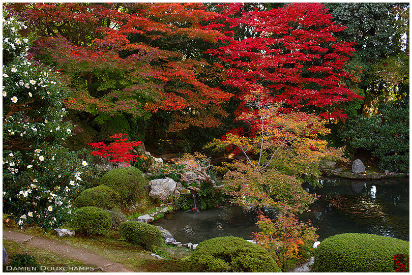 Pond with autumn colours, Zuishin-in temple