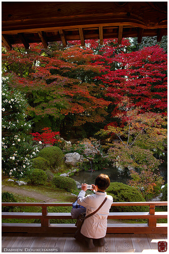 Photographying autumn colours in Zuishin-in temple