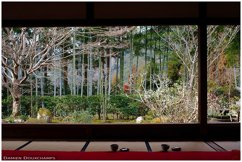 View on Japanese garden and bamboo forest, Hosen-in temple, Kyoto