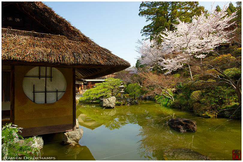 Thatched tea house over pond with spring blossoms, Nene-no-michi, Kyoto, Japan