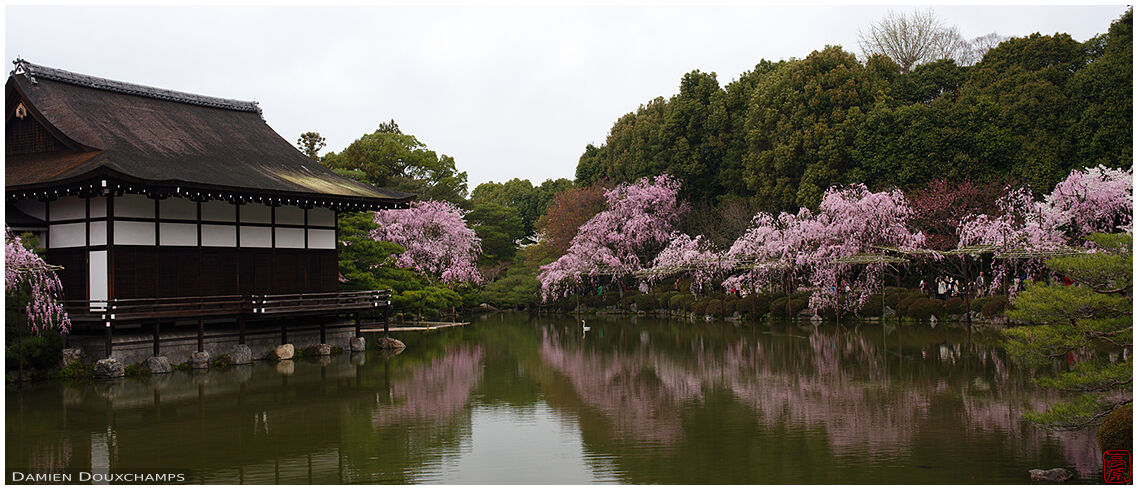 Kyoto Photography