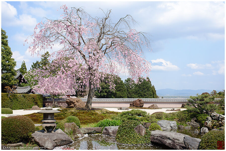 Shōbō Ji 正法寺