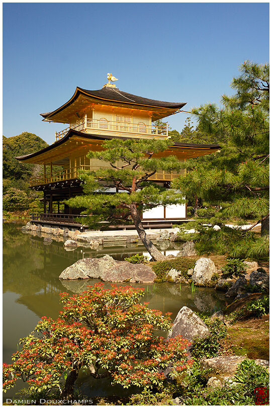 The golden pavilion of Rokuonji temple, Kyoto, Japan