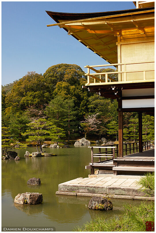 Close up on the golden pavilion and its pond, Kyoto, Japan