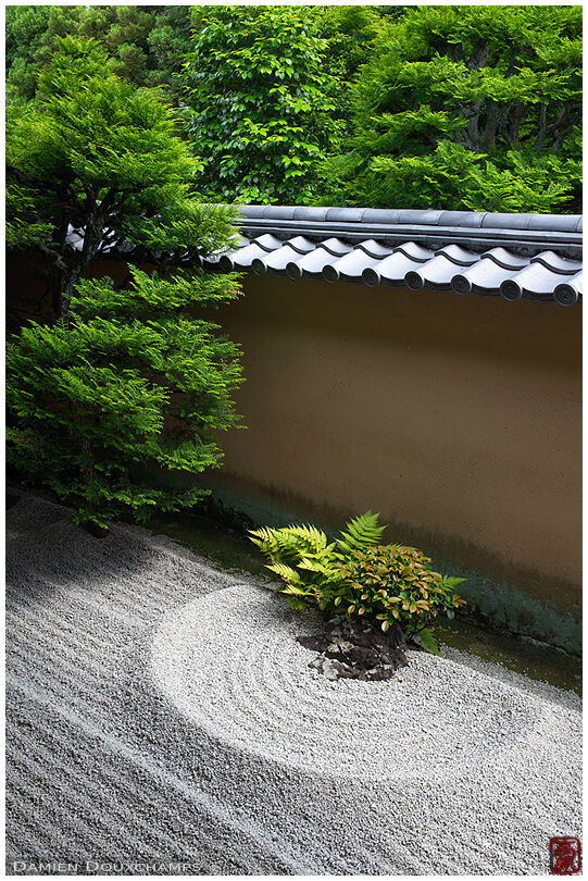 Rock garden flowing around little brush, Ryogen-in temple, Kyoto, Japan