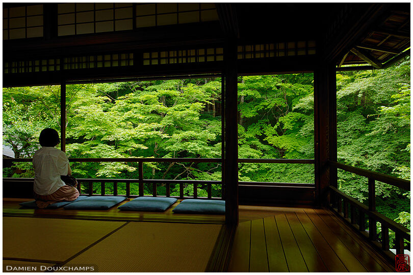 Admiring the new green maple spring leaves in the quietness of Ruriko-in temple, Kyoto, Japan