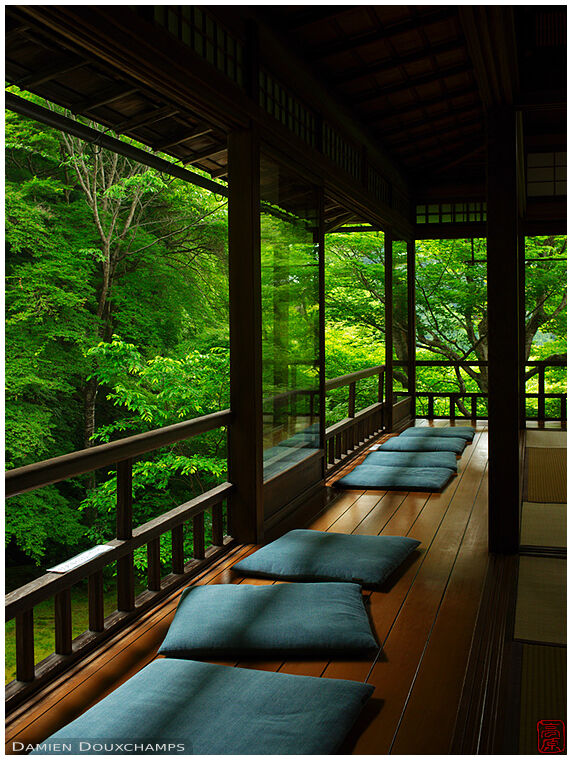 Green maple colours surrounding the second floor room of Ruriko-in temple, Kyoto, Japan