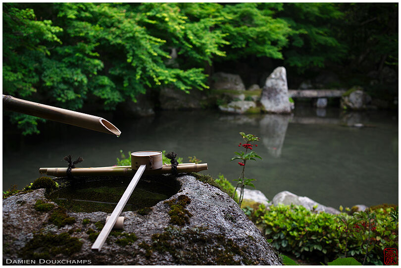 Tsukubai water basin on the edge of Renge-ji temple small pond garden, Kyoto, Japan