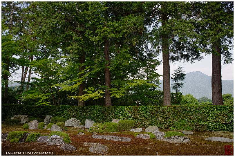 Mount Hiei framed between two pine trees as borrowed landscape element in Entsu-ji temple garden, Kyoto, Japan