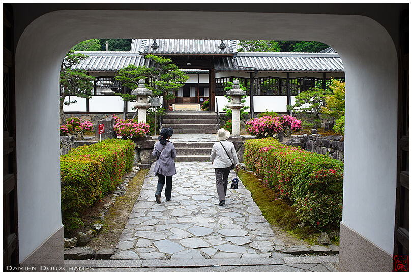 Entrance gate to Kosho-ji temple during azalea season, Kyoto, Japan