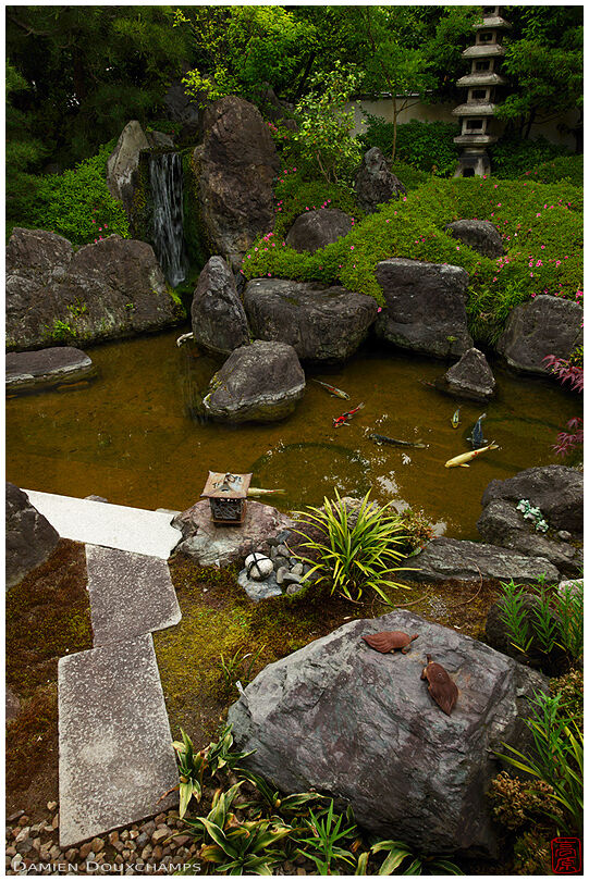 Secret satsuki and pond garden in Zuiko-in temple, Kyoto, Japan