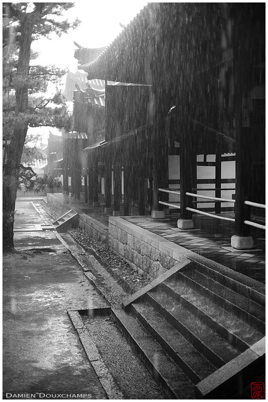 Biblical rainfall in Manpuku-ji temple, Kyoto, Japan
