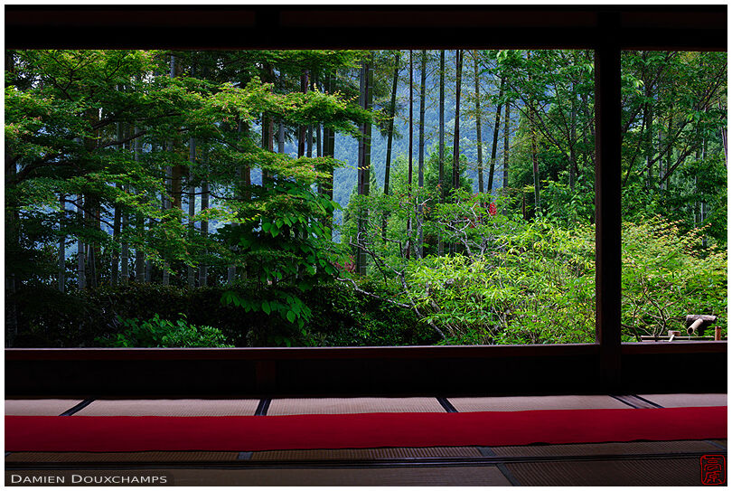 Summer time in Hosen-in temple, Ohara valley, Kyoto