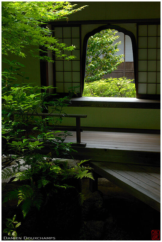 Flower-shaped window and new green maple leaves colors in Keishun-in temple, Kyoto, Japan
