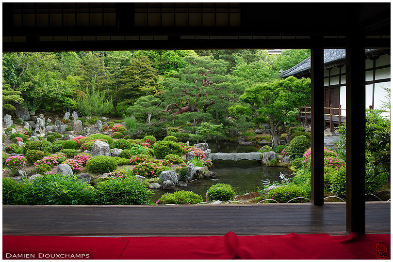 Toji-in temple pond garden during satsuki azalea blooming season, Kyoto, Japan