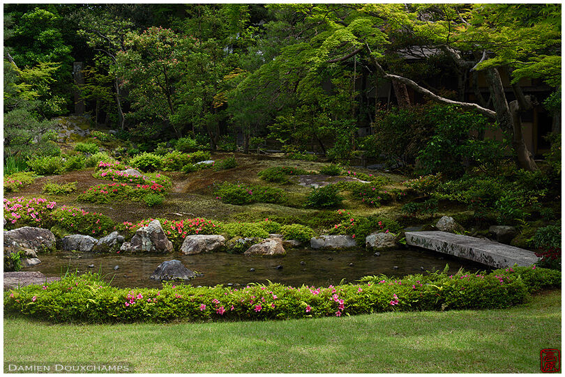 Touches or red and pink during early satsuki season in the garden of Murin-an, Kyoto, Japan