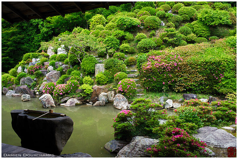 Tsukubai water basin with bamboo ladle on the edge of the satsuki azalea and pond garden of Chishaku-in temple, Kyoto, Japan