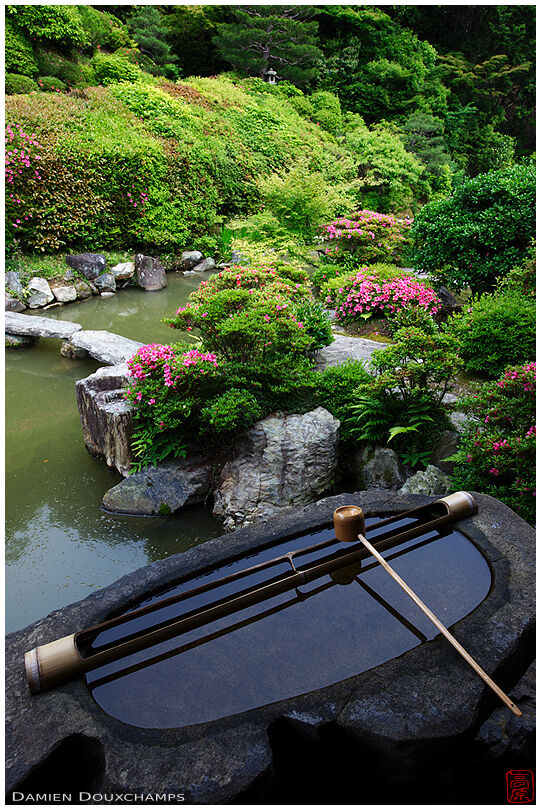 Delicate bamboo ladle and its support on tsukubai water basin of Chishakuin temple garden, Kyoto, Japan