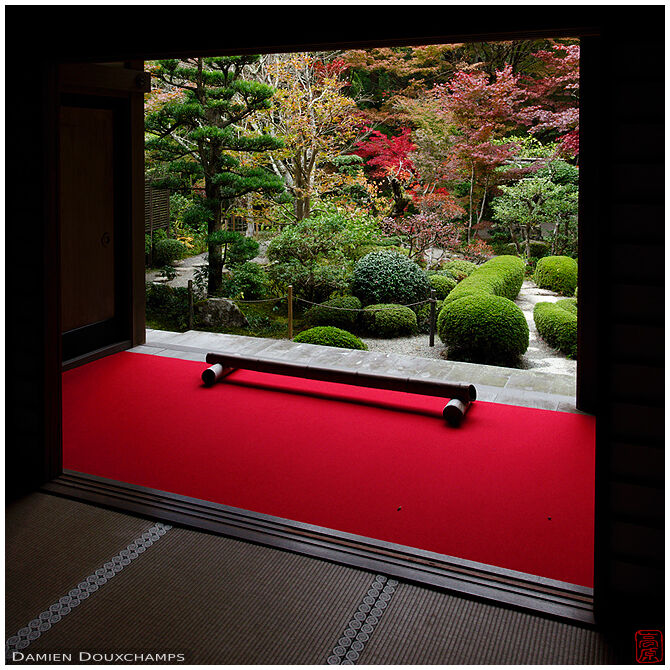Red carpet with view on Japanese garden, Kongorin-ji temple, Shiga, Japan