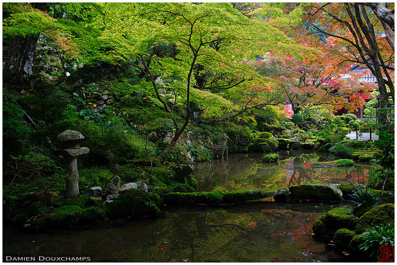 Thin moss covered stone bridge on a pond of Kongorin-ji temple, Shiga, Japan
