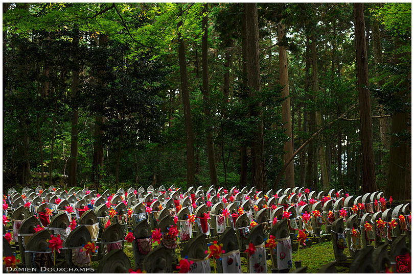 Rows of jizo statues with pind toy wind mills in the dark forest of Kongorin-ji temple, Shiga, Japan
