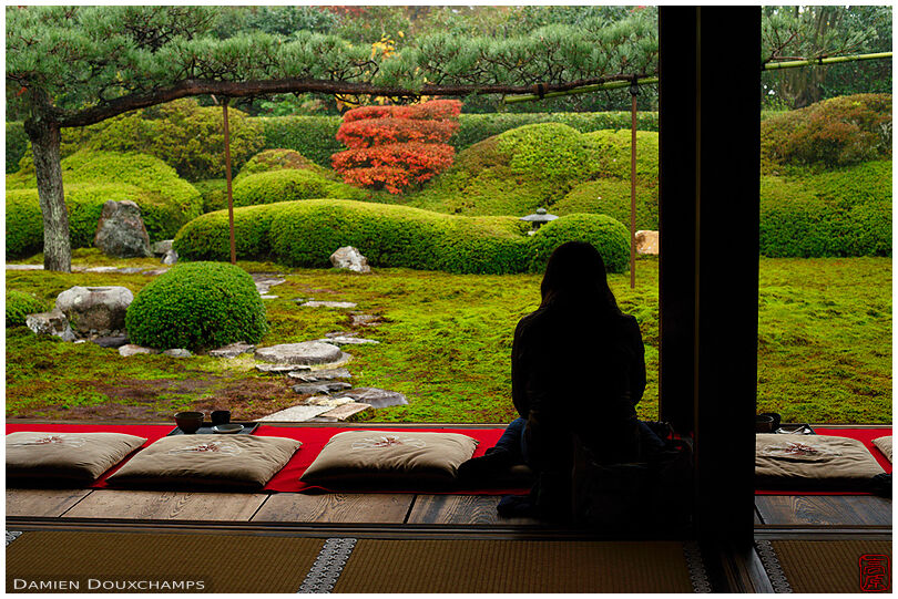 Woman taking a break and enjoying Ikkai-in moss garden, Kyoto, Japan