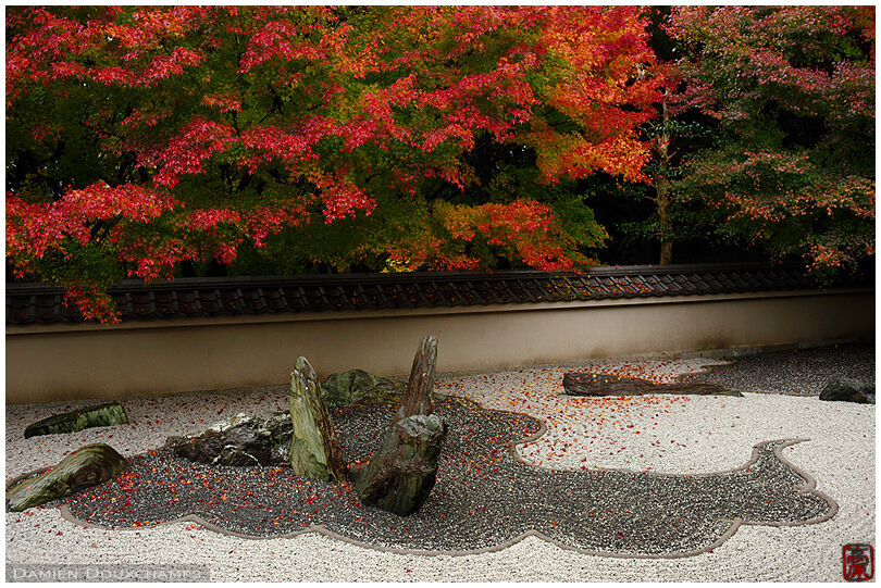 Kyoto Photography