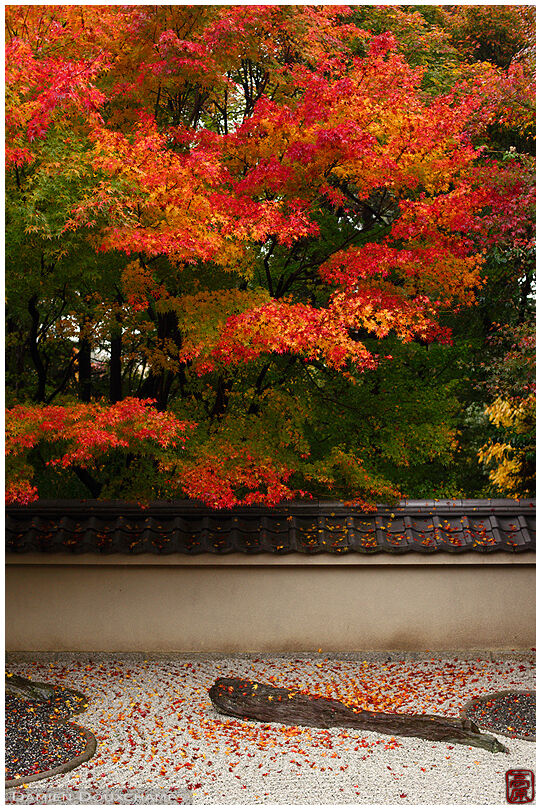 Autumn colors and fallen maples leaves on the zen garden of Ryogin-an temple, Kyoto, Japan