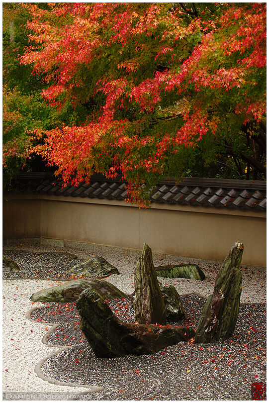 Standing stones depicting dragon head in rock garden under autumn foliage, Ryogin-an temple, Kyoto, Japan
