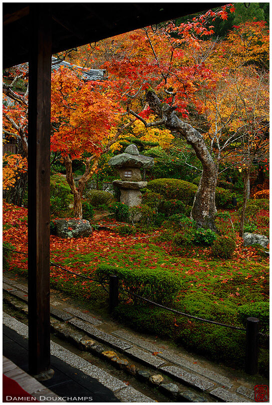 Stubby lantern amidst autumn leaves in Enko-ji temple garden, Kyoto, Japan