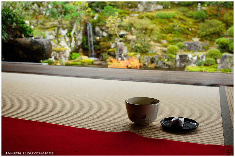 Quiet time with view on zen garden, Jikko-in temple, Kyoto