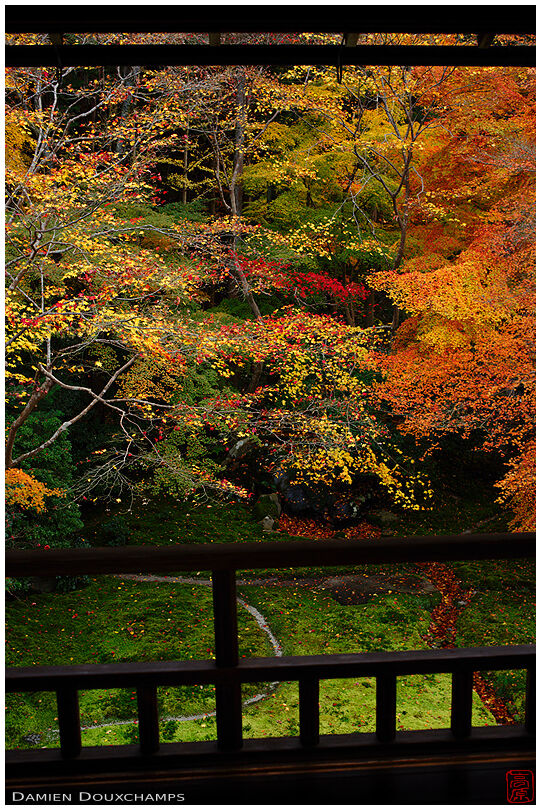 Late autumn foliage in Ruriko-in temple, Kyoto, Japan