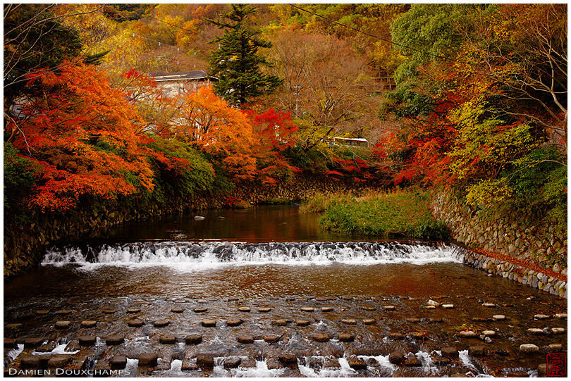 Autumn colors on the Takano river in the north of Kyoto, Japan