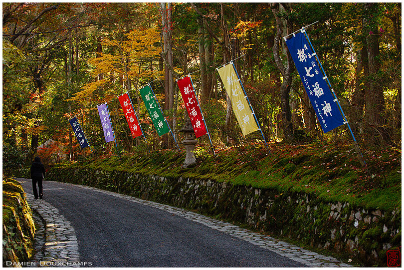 Colorful flags amidst early autumn foliage along the path to Sekisansen-in temple, Kyoto, Japan