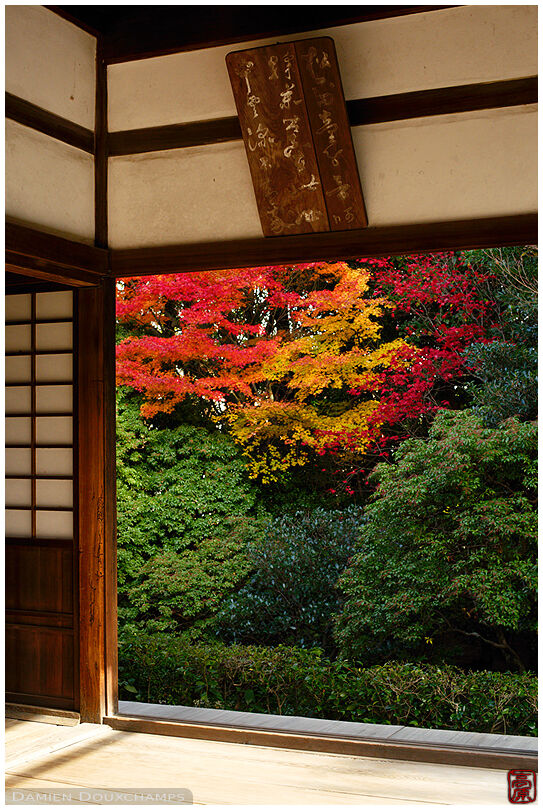 Window on autumn colours, Keishun-in temple, Kyoto, Japan