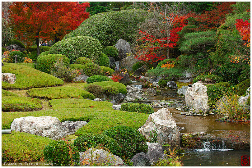 Busy Japanese garden in autumn, Taizo-in temple, Kyoto
