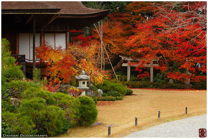 Fiery red autumn foliage around traditional pavilion of Okochi Sanso villa, Kyoto, Japan