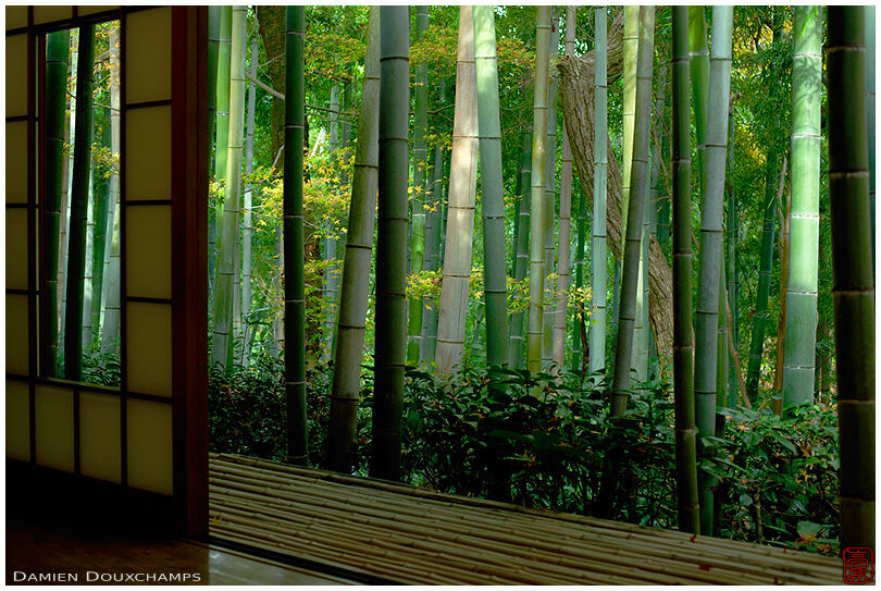 Room with view on bamboo forest in Okochi-sanso, Arashiyama, Kyoto, Japan