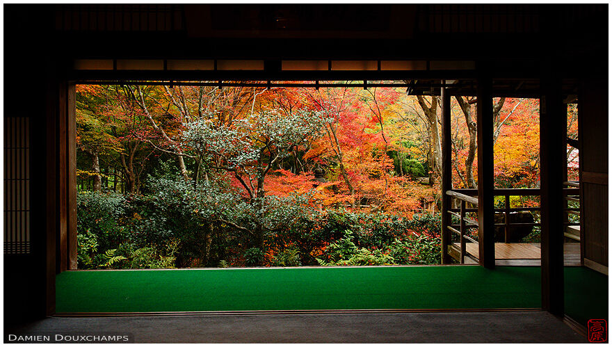 View on autumn forest colours from Jikishi-an temple hall, Kyoto, Japan