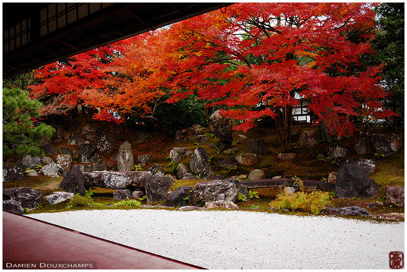 Bright red maple foliage over the rock garden of Entoku-in temple in the Nene No Michi area of Gion, Kyoto, Japan