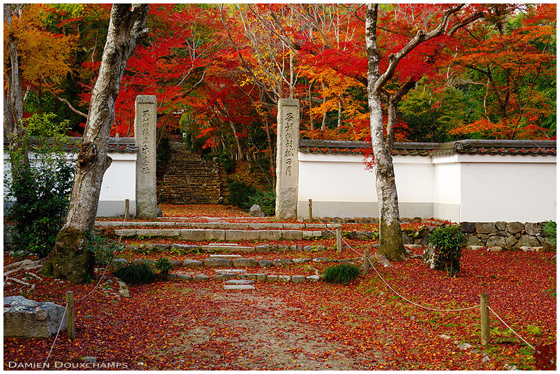 Sublime autumn colors at the entrance of Joju-ji temple, Kyoto, Japan