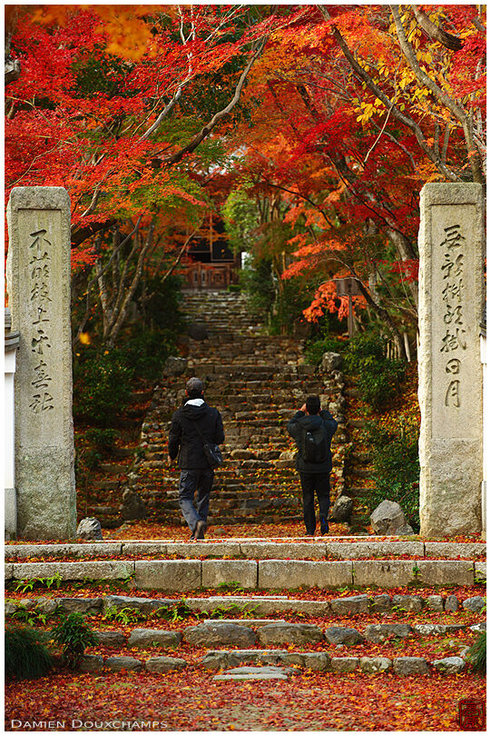 Two photographers entering Joju-ji temple at the peak of the autumn colours, Kyoto, Japan